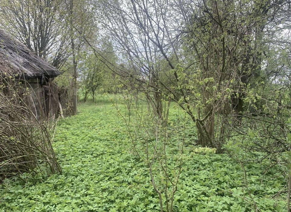 Działka siedlisko 0,5ha Kuraszewo kolo Hajnowki - Więcej