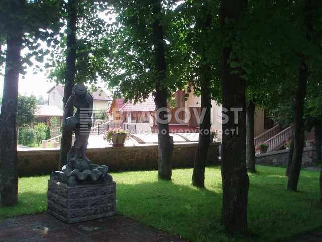 Продаж будинку Великі Дмитровичі, Обухівський район, 1га, без %
