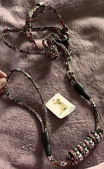 Шлея+ повідок для собак малих порід