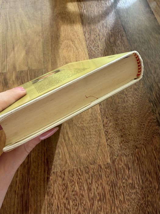 Livro “A Tia Julia e o Escrevedor” de Mario Vargas Llosa