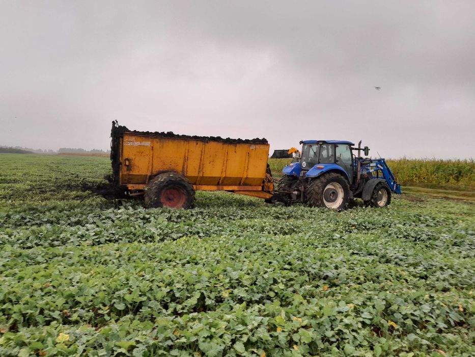 Usługi rolnicze: siew strip till, koszenie, wapnowanie, opryski i inne
