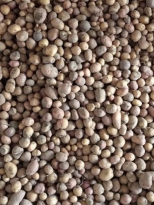 Продам дрібну картоплю