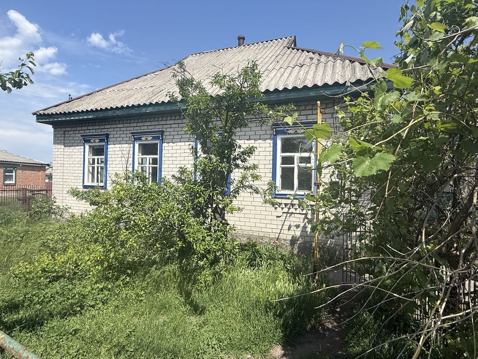 Продам добротний будинок у с. Білецьківка