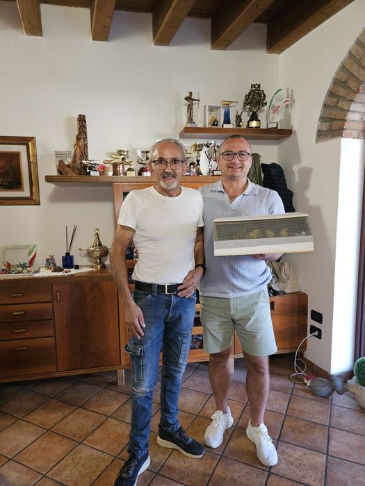 Kanarki wodnotokowe Malinois