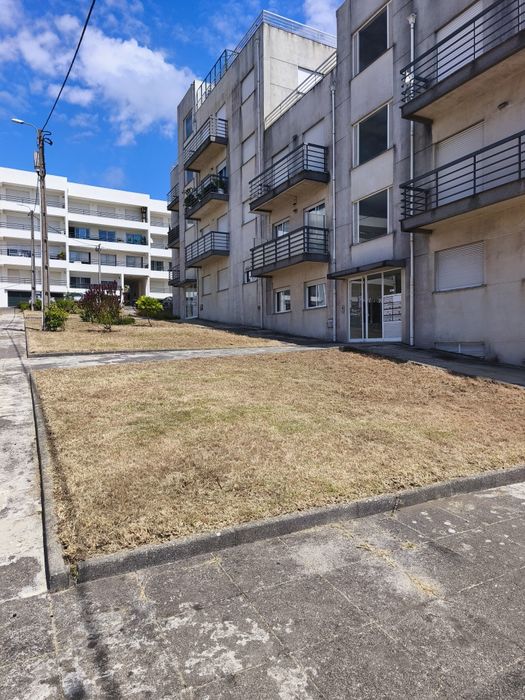 Jardinagem e Limpeza de Terrenos (Pequeno/Médio Porte) – Rápido e Económico
