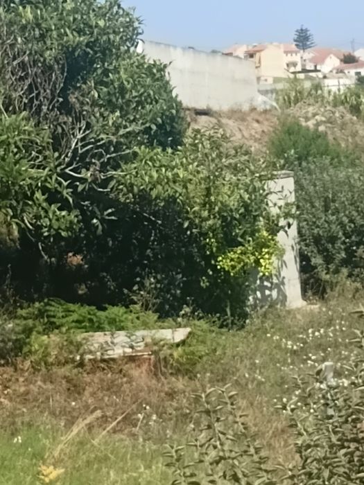 Terreno venda "land for sale"