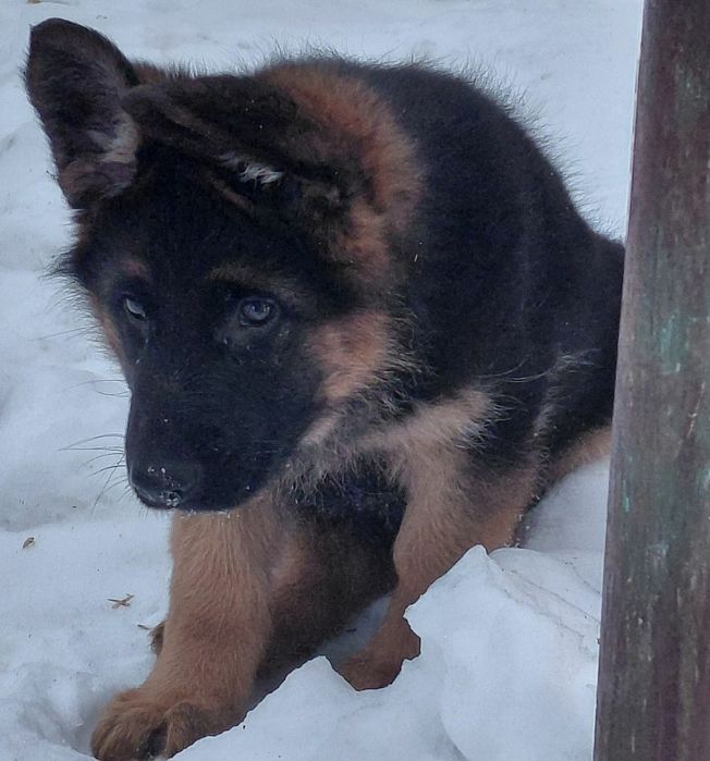 Чудові хлопці та дівчата