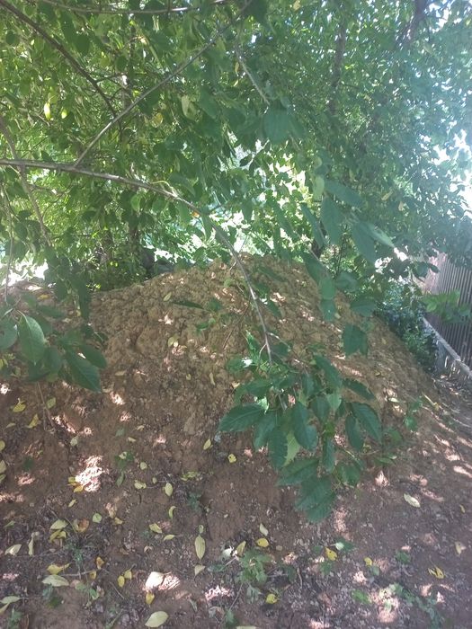 Глина безкоштовно