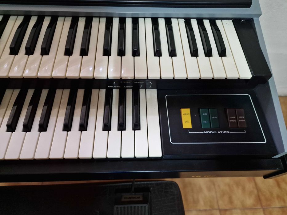 Orgão electronico musical