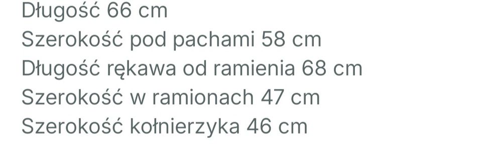 Koszula męska lniana Next L