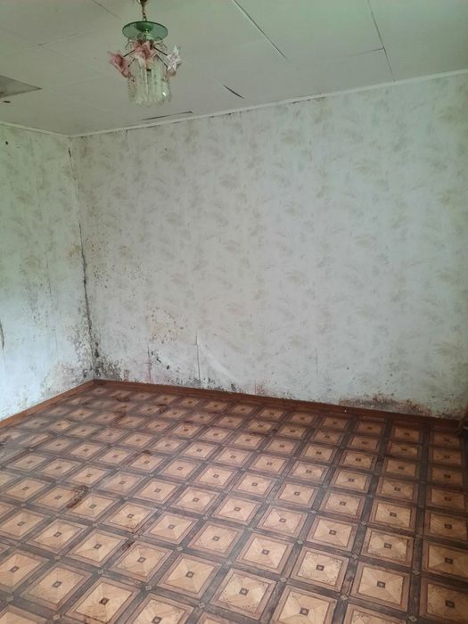 Дача с.Рогізна (Камʼянець-Подільський район, Хмельницька область)