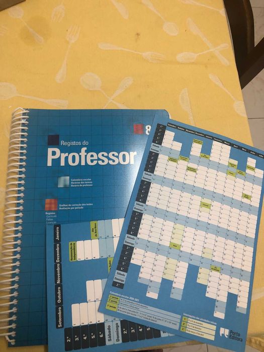 Livro do Professor