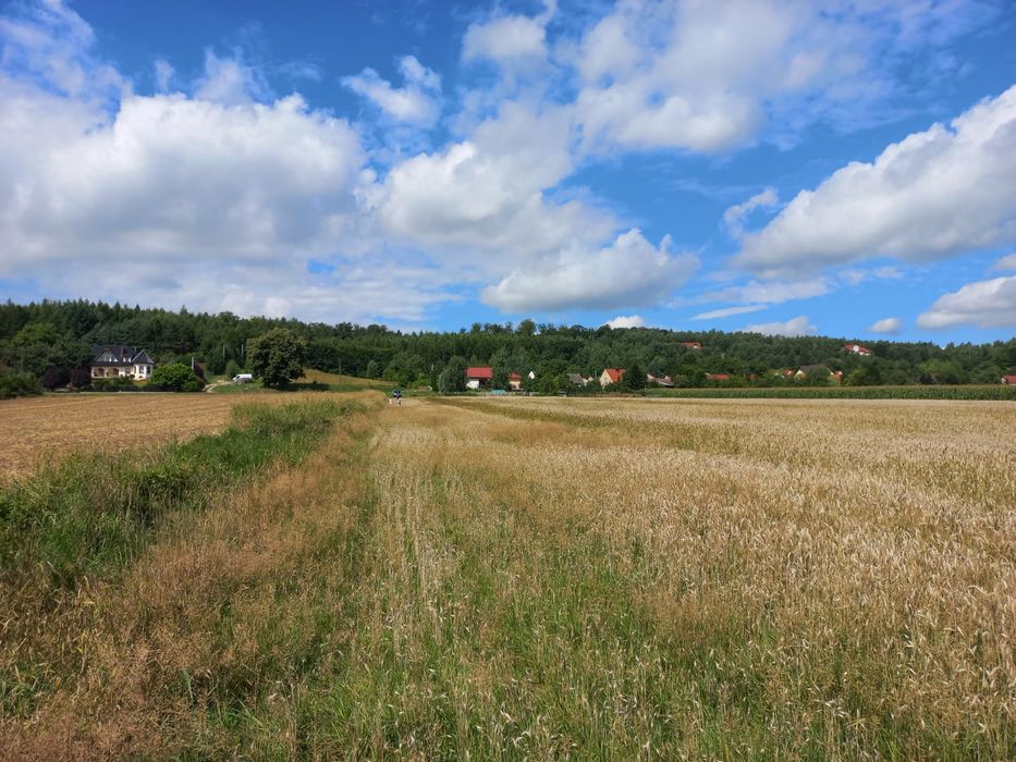 Działka budowlana.