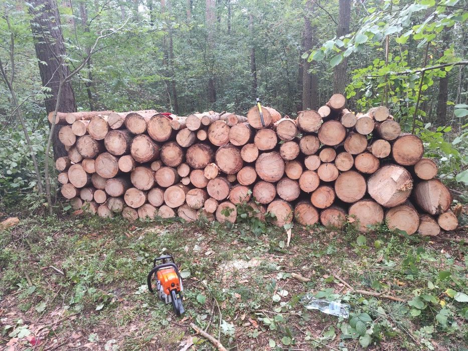 Drewno opałowe Sosna brzoza olcha osika