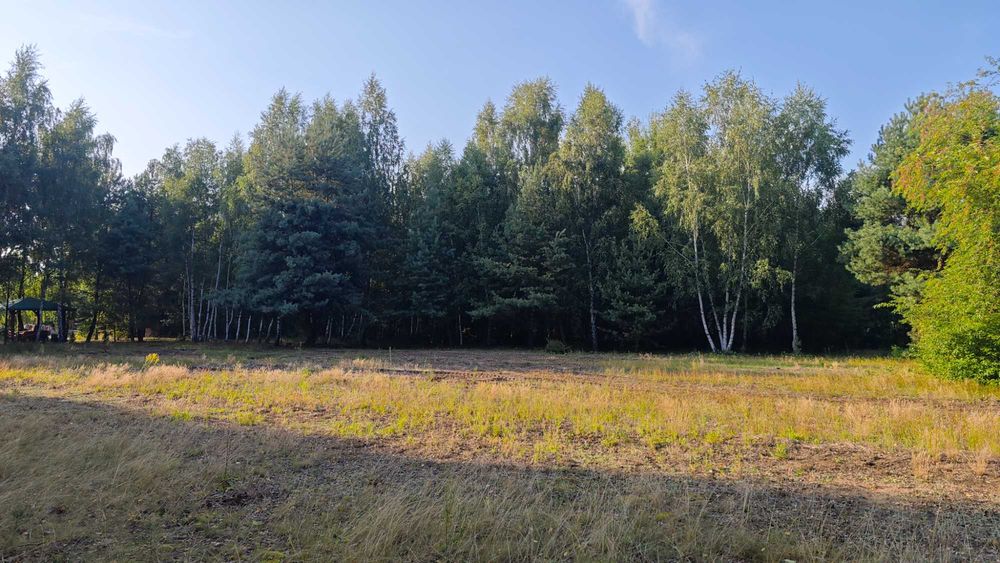 Działka budowlana  2000 m2 z MPZP i WZ