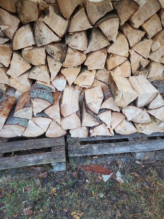 Drewno drzewo opałowe kominkowe