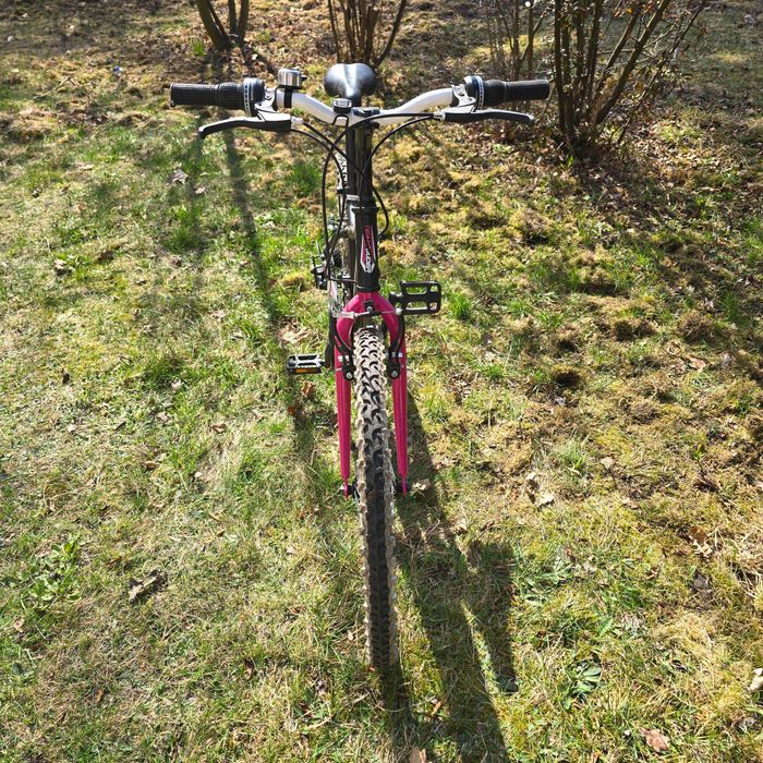 Rower TEAMRAIDER koła 24 cale