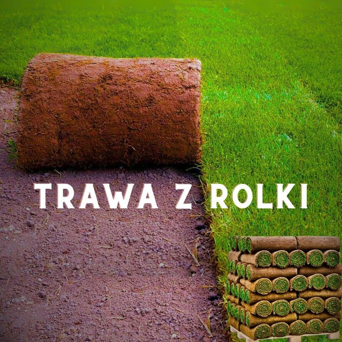 Trawnik z rolki trawa sprzedaż transport montaż wysylka