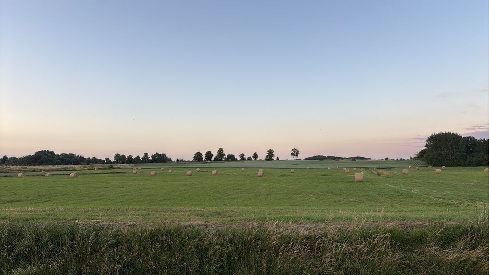 Piękne siano zbiór 2026
