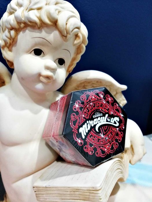 Biedronka i Czarny Kot - Kwami box