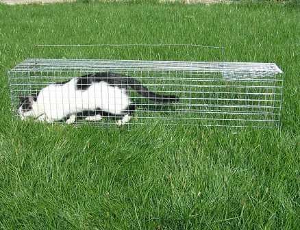 Котоловка. Живоловка. Клетка, ловушка для котов. Живоловушка для кошек