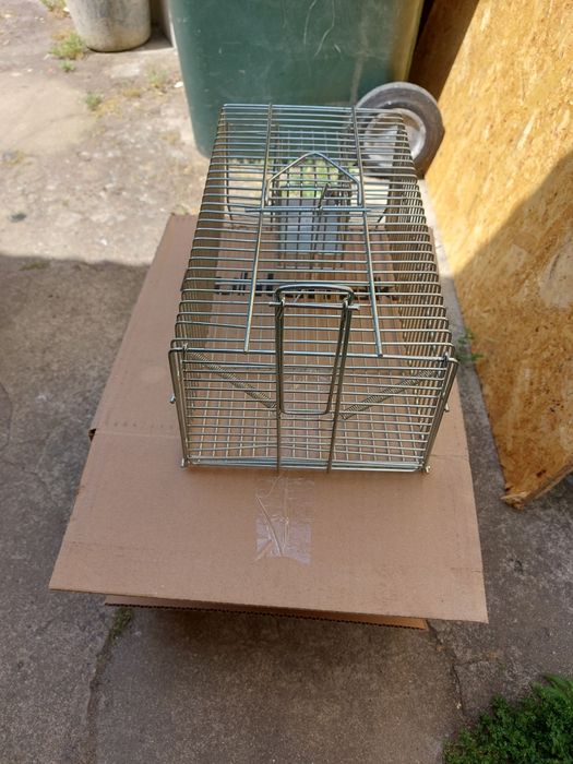 Armadilha para capturar ratos, ratazanas e outros roedores.