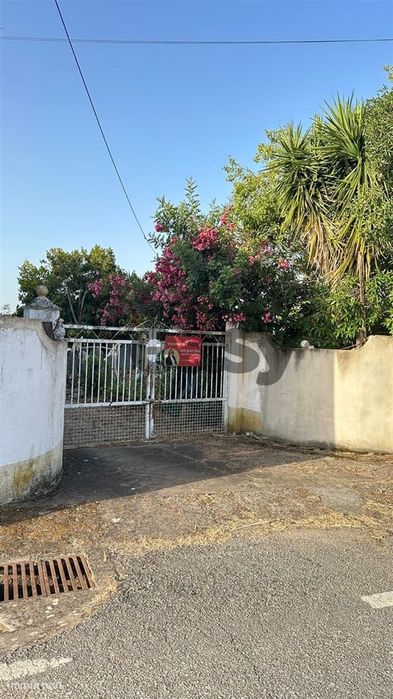 Terreno Rústico com 1,1 Hectares na Vidigueira