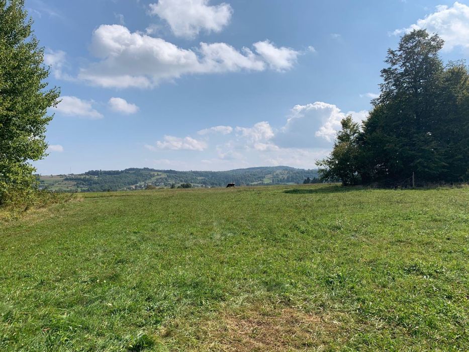 Глемпінг «Bubble house”, с.Мигове, Чернівецька область ТОРГ