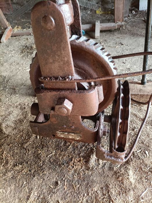 Cadernal de grande porte