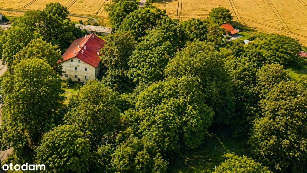 Dom – Milice, powiat kędzierzyńsko-kozielski - Widok 4