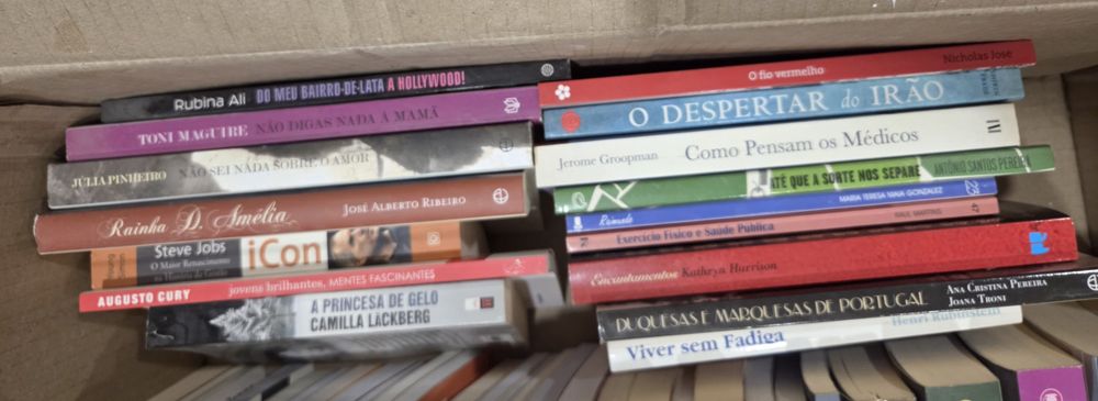 Vendo livros, várias temáticas