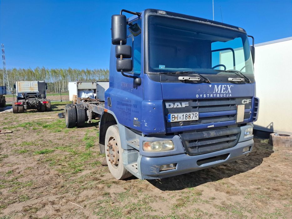 DAF