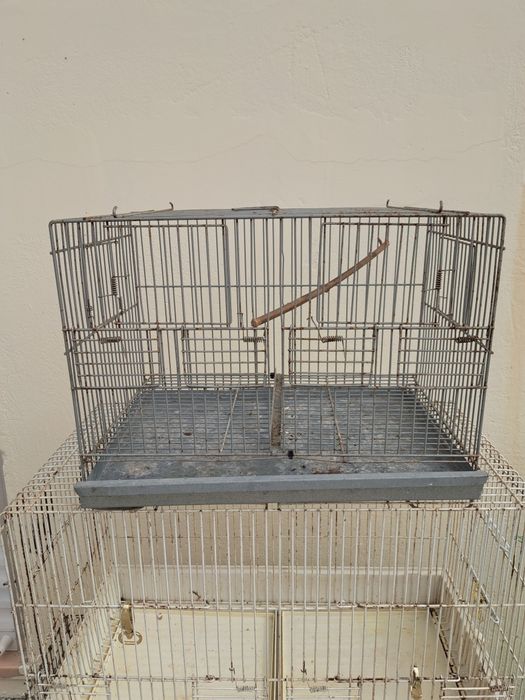 Várias gaiolas para pássaros