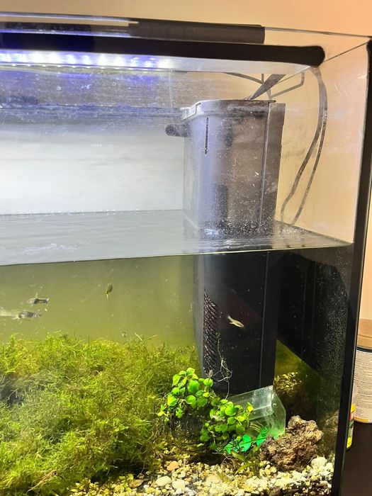 Vendo Aquário 200 litros