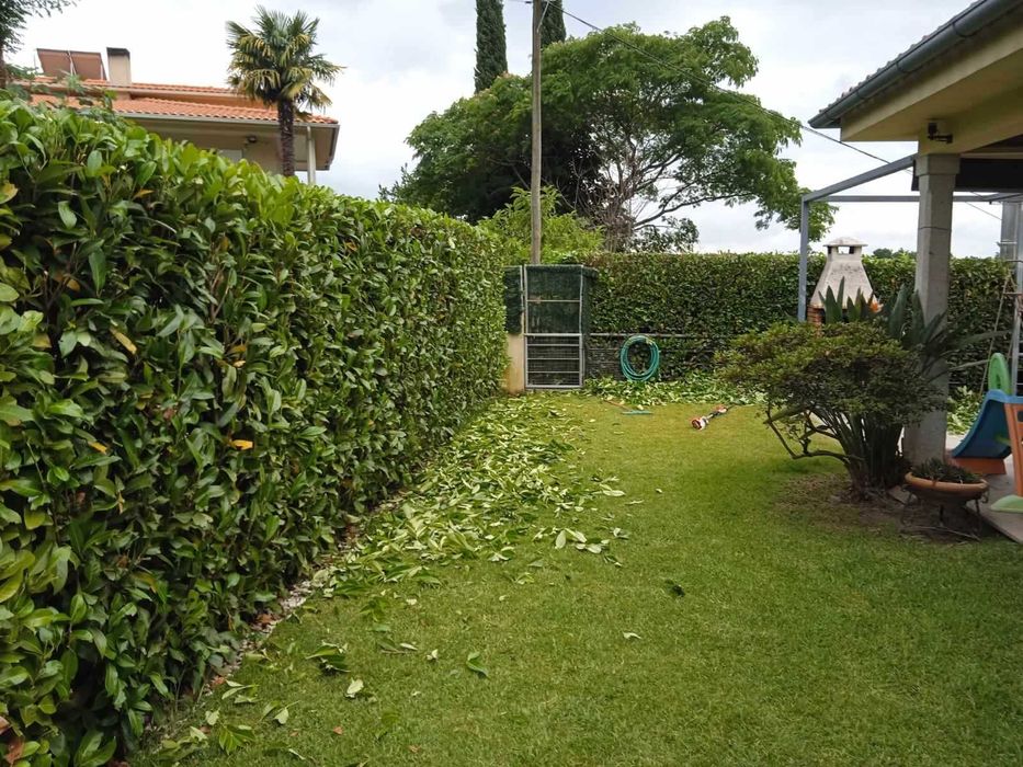 Jardineiro João em Braga