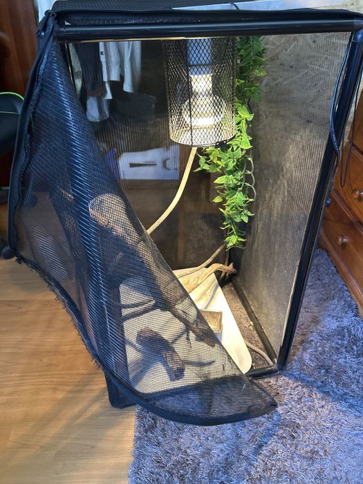 Terrário/gaiola  para Camaleão Completo (Iluminação + Acessórios) – 75€