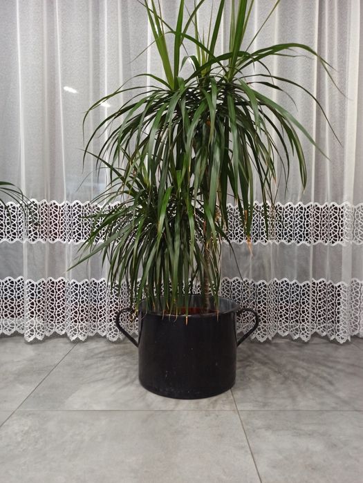 Stary emaliowany garnek PRL donica