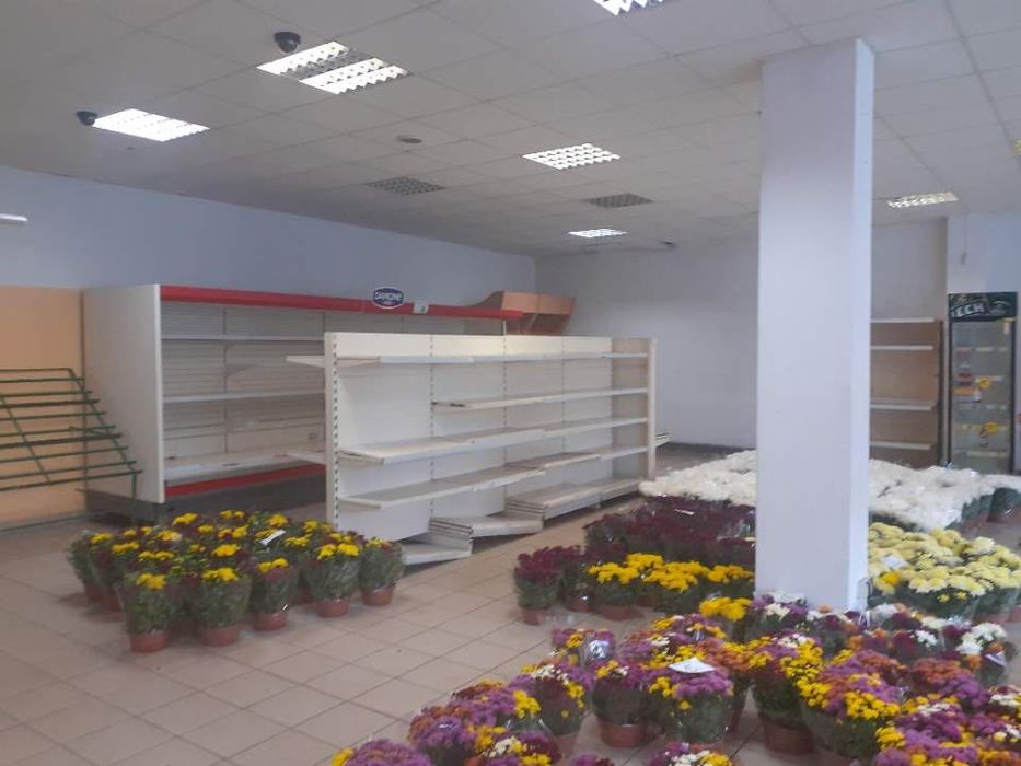 Lokal 400m2 do wynajęcia - Brody, woj. Lubuskie