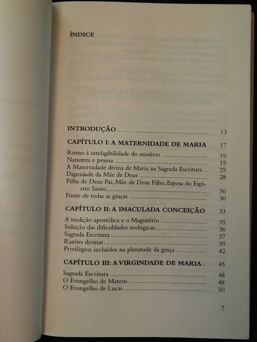 Mãe de Deus e a nossa Mãe. Iniciação Mariológica