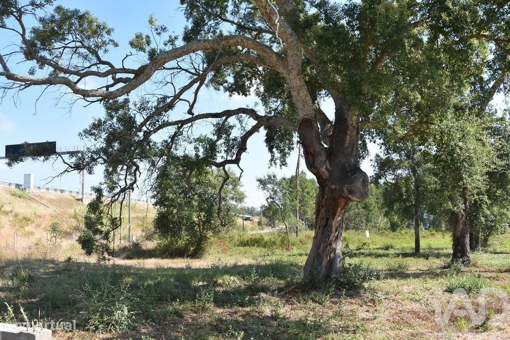Terreno para construção em Amor de 2619,00 m2