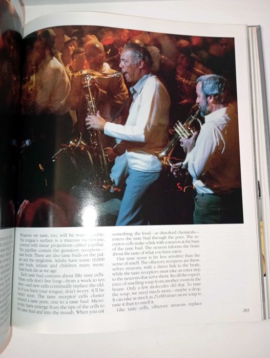 The Incredible Machine