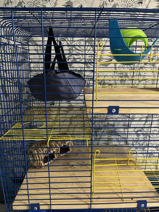 Клітка для пацюка, шиншили