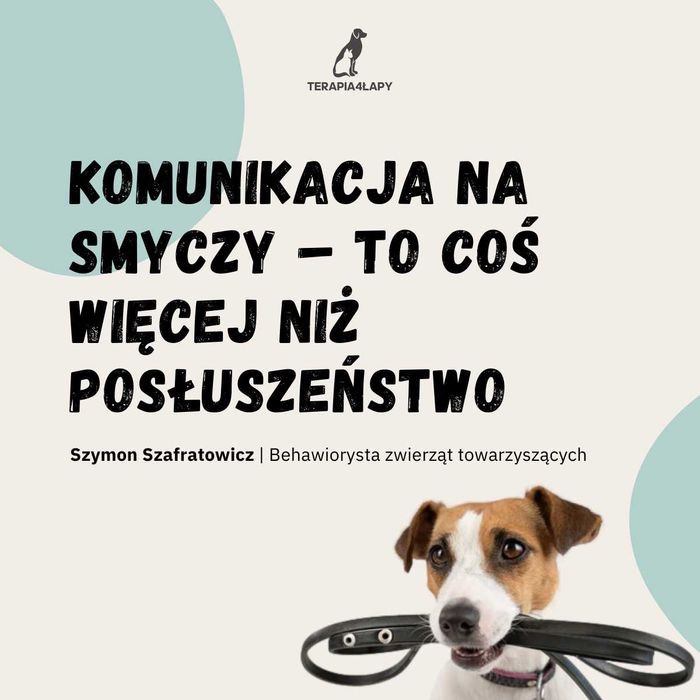 Behawiorysta psów Wrocław Terapia4Łapy - stacjonarnie i online