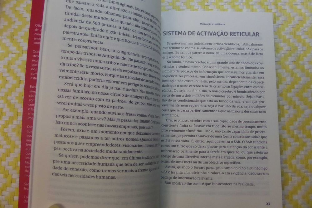 A ARTE DE VENDER
Para comerciais na era das redes sociais
