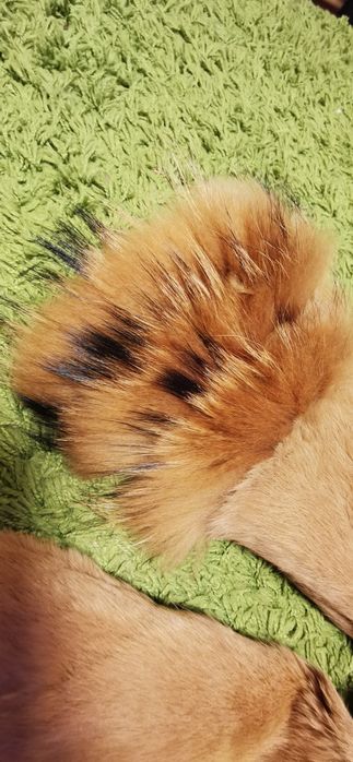 Futro z królika i lisa roz. L