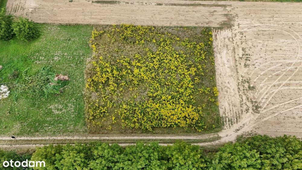 Działka 16,69 ar | Domiarki | budowlano-zagrodowa - Widok 2