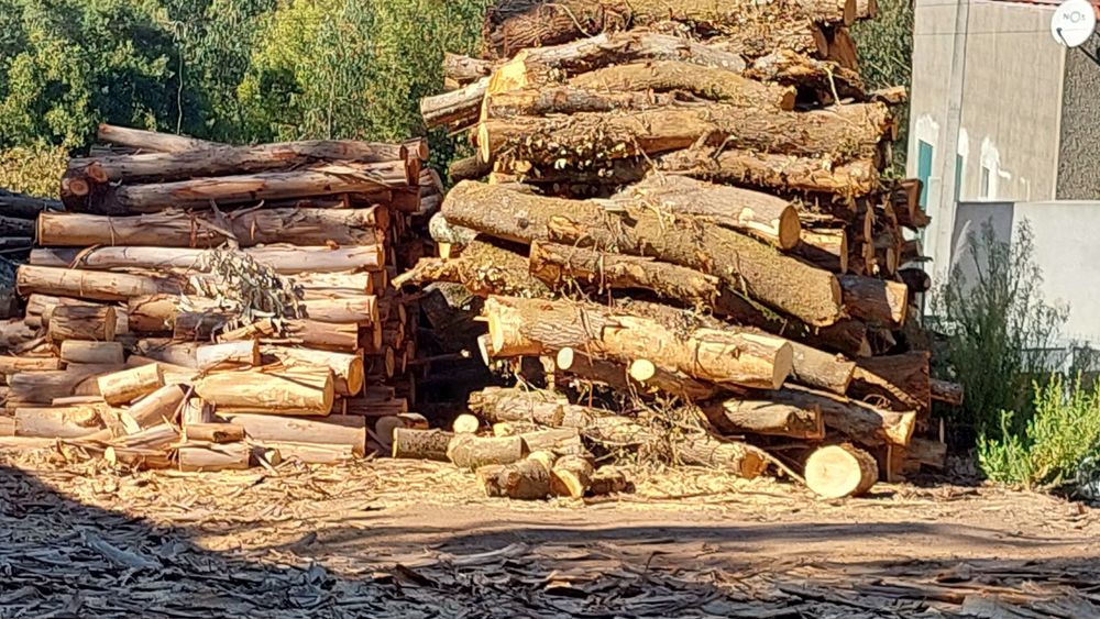 Lenha para aquecimento