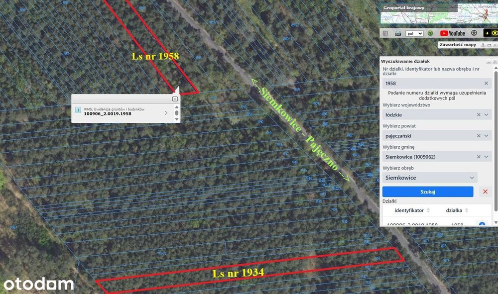 Kompleks inwestycyjny 4,42 ha (Łąki i Lasy) • Siemkowice - Widok 2