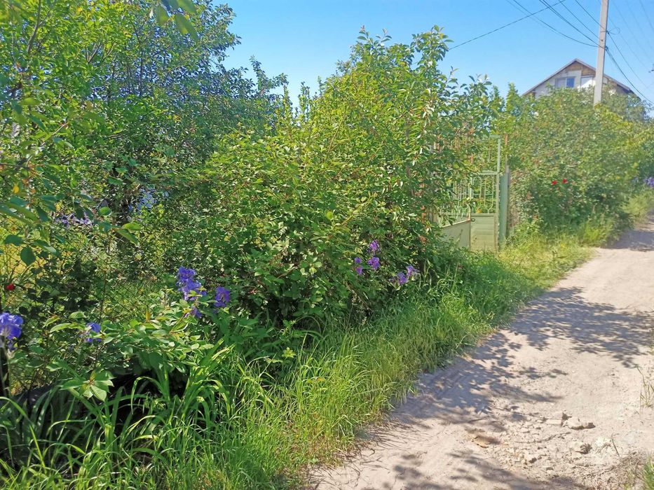 Будинок за адресою (площа 16 м²) - Atlanta.ua - фото 14