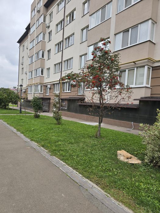 Розтермінування Комерційне приміщення 55 м.кв. з ремонтом